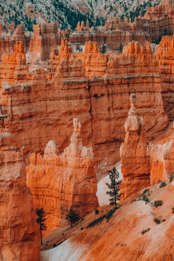 Wander Camp Bryce Canyon - Escalante Cannonville Εξωτερικό φωτογραφία